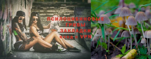 герыч Корсаков